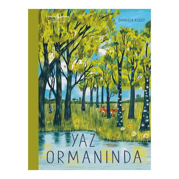 Yaz Ormanında
