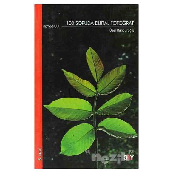 100 Soruda Dijital Fotoğraf