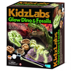 4m Parlayan Dinozor ve Fosiller 5528 - Thumbnail