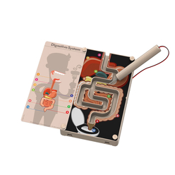 4M Sindirim Sistemi 3386 - Thumbnail