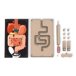 4M Sindirim Sistemi 3386 - Thumbnail