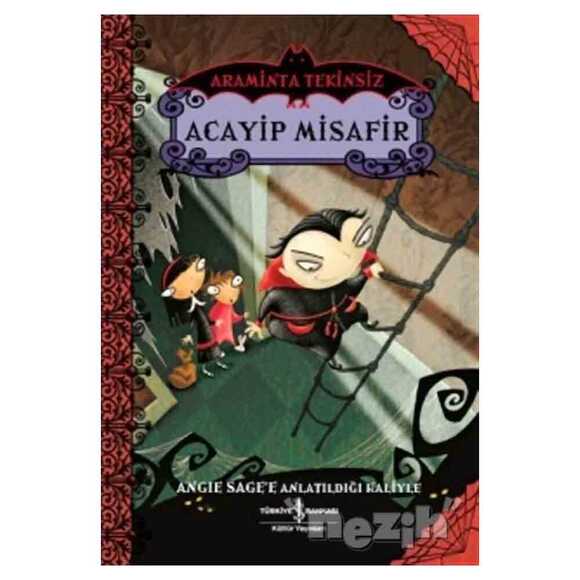 Acayip Misafir