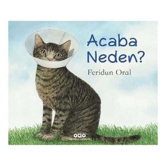 Aceba Neden ? (Karton Kapak)