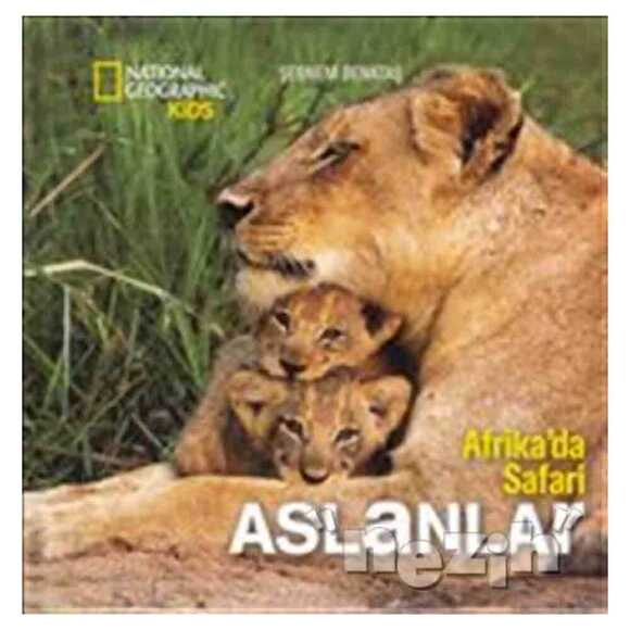Afrika’da Safari: Aslanlar