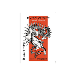 Akademi Çocuk - Akademi Çocuk 2020-2021 Öğrenci Ajandası 16x21cm Tiger& Dragon