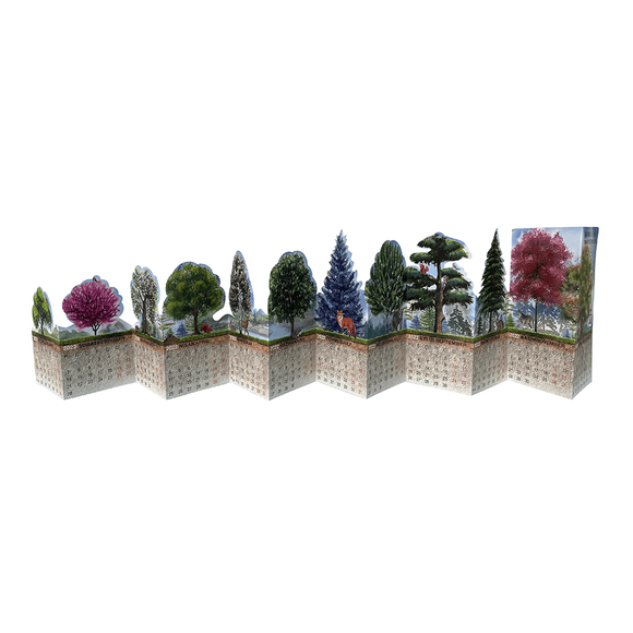 Akademi Çocuk 2022-2023 Takvim Forest 73x16 cm