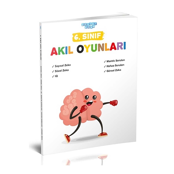 Akıllı Adam 6. Sınıf Akıl Oyunları