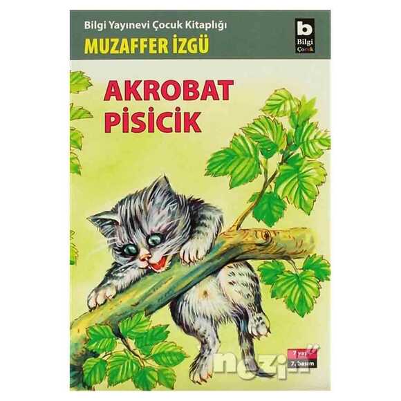 Akrobat Pisicik