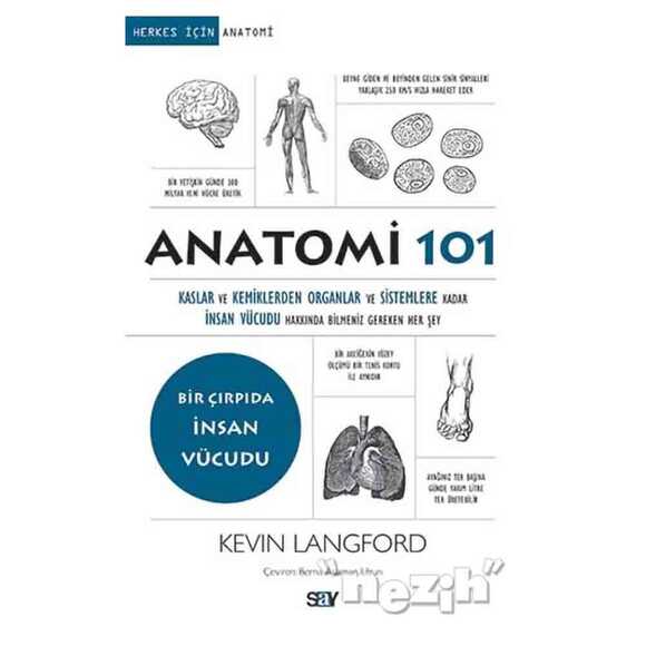 Anatomi 101