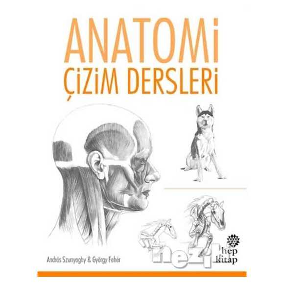 Anatomi Çizim Dersleri