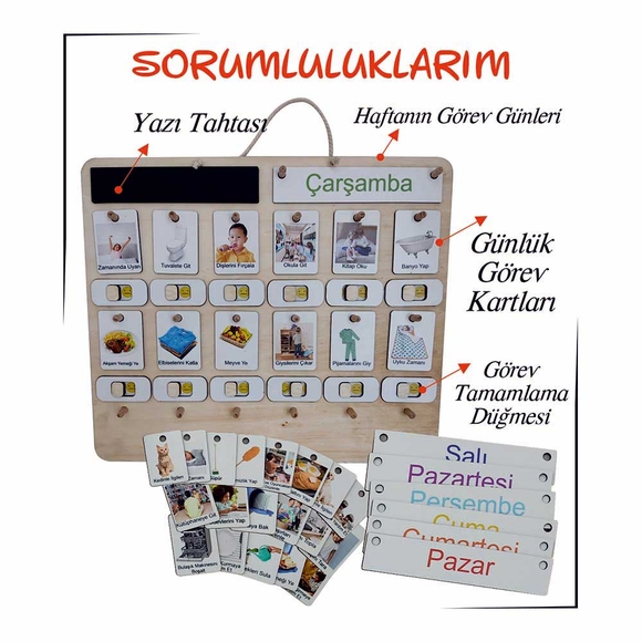 Ankebut Sorumluluk Büyük Boy 31494