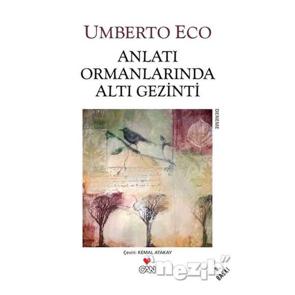 Anlatı Ormanlarında Altı Gezinti