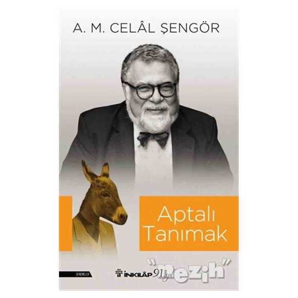 Aptalı Tanımak