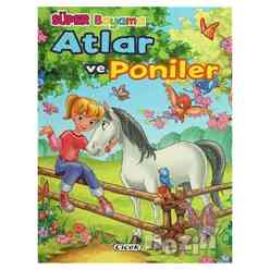 Atlar ve Poniler 2 - Thumbnail