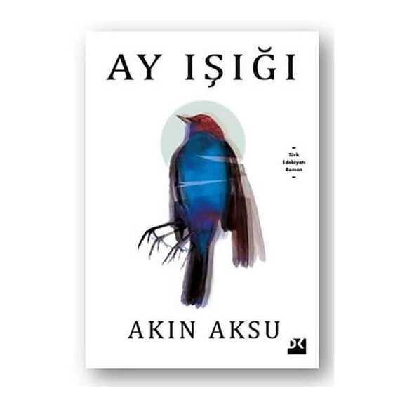 Ay Işığı