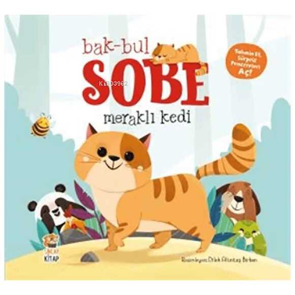 Bak Bul Sobe Meraklı Kedi
