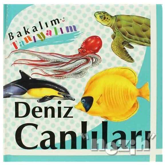 Bakalım Tanıyalım: Deniz Canlıları