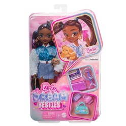 Mattel Barbie - Barbie Dream Besties Ana Karakter Bebeklers Brooklyn HYC22