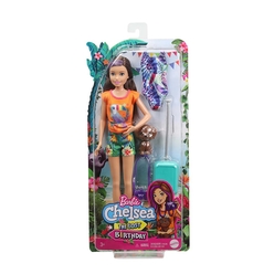 Barbie ve Chelsea Kayıp Doğum Günü Bebek ve Aksesuarlar Serisi GRT86 - Thumbnail