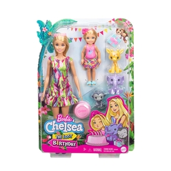 Barbie ve Chelsea Kayıp Doğum Günü Doğum Günü Oyun Seti GTM82 - Thumbnail