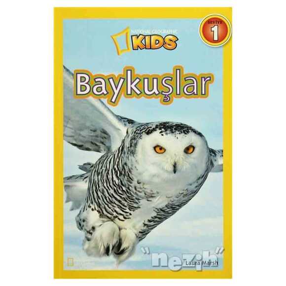 Baykuşlar