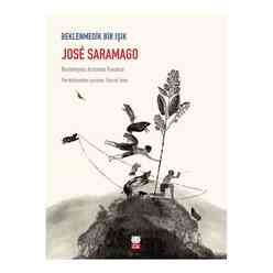 Kırmızı Kedi Yayınları - Beklenmedik Bir Işık