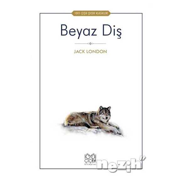 Beyaz Diş 327403