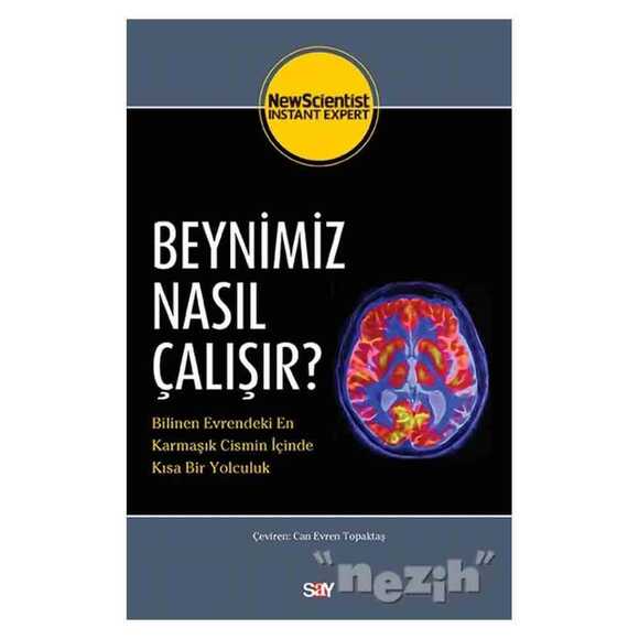 Beynimiz Nasıl Çalışır?