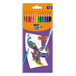 Bic 987868 Evolution Silinebilir Kuru Boya 12 Renk - Thumbnail