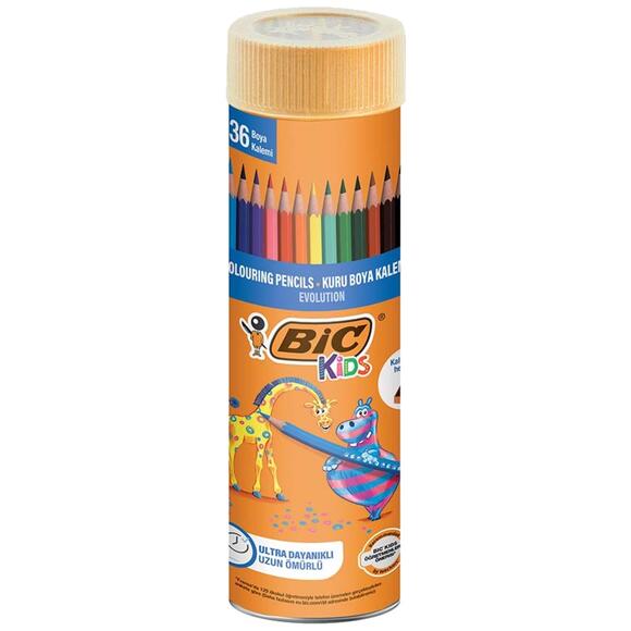 Bic Evolution Kuru Boya Kalemi 36’lı Metal Tüp 968491