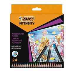 Bic Intensty Kuru Sulu Boya 24 Lü 511727 - Thumbnail