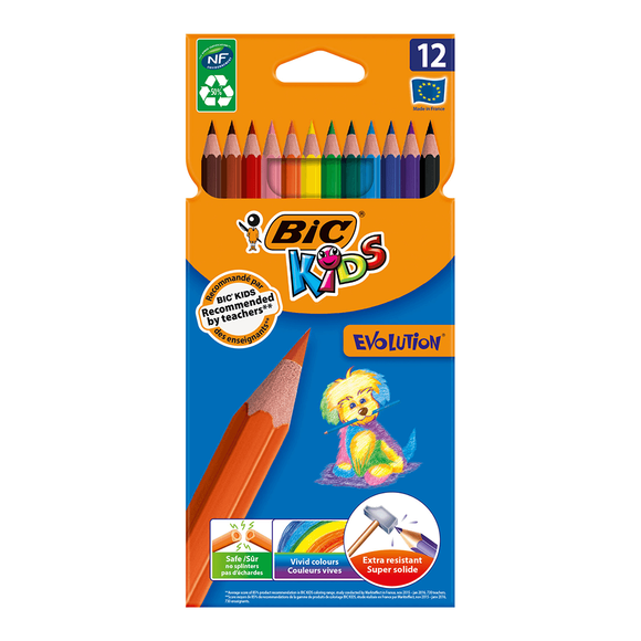 Bic Kids Geliştirici Boyama Seti 37 Parça