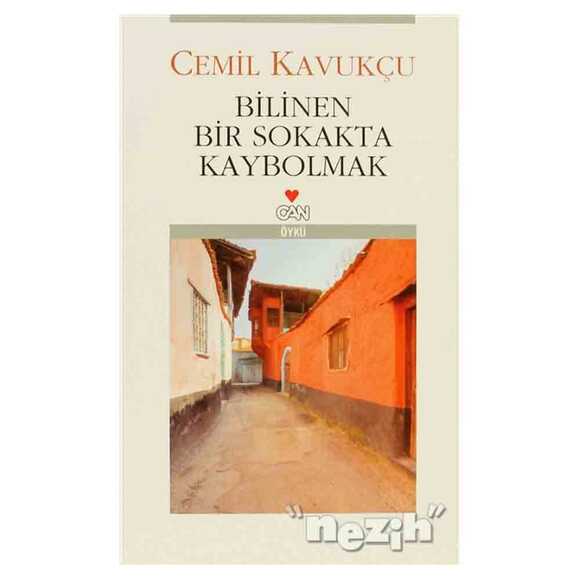 Bilinen Bir Sokakta Kaybolmak