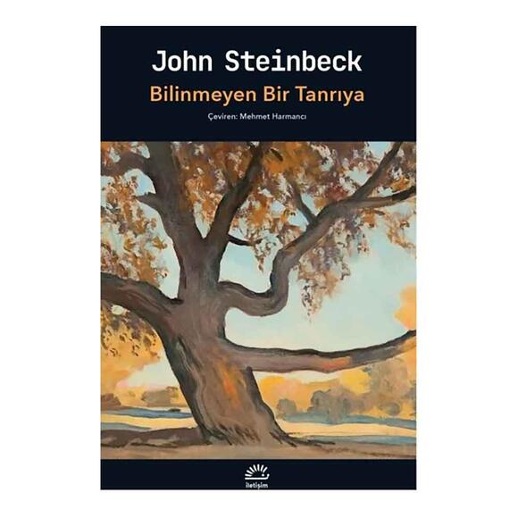 Bilinmeyen Bir Tanrıya
