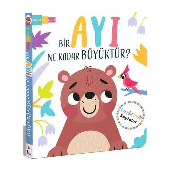 Bir Ayı Ne Kadar Büyüktür? Kaydır Keşfet