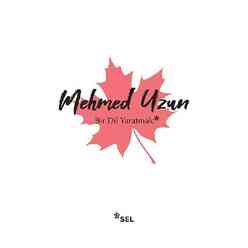 Sel Yayıncılık - Bir Dil Yaratmak