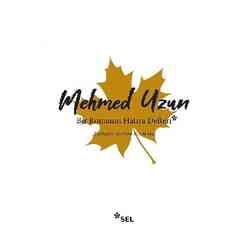 Sel Yayıncılık - Bir Romanın Hatıra Defteri