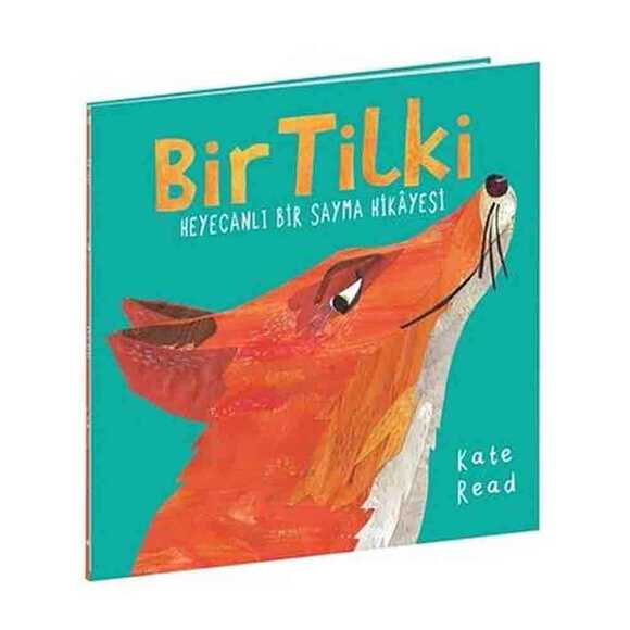 Bir Tilki