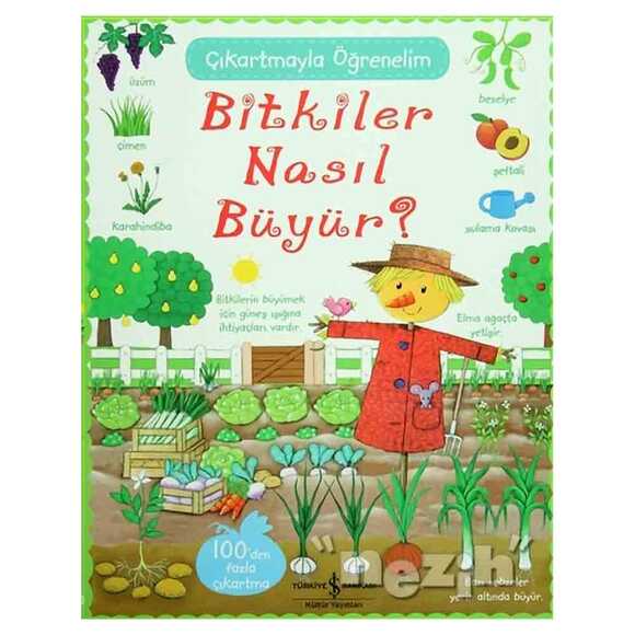 Bitkiler Nasıl Büyür? - Çıkartmayla Öğrenelim