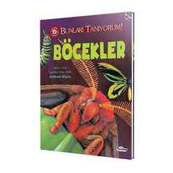 Teleskop Yayınları - Böcekler - Bunları Tanıyorum!