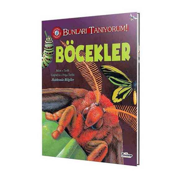Böcekler - Bunları Tanıyorum!