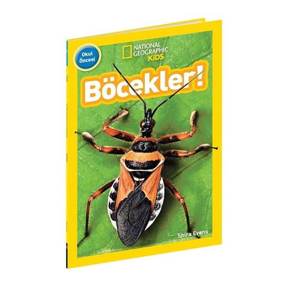 Böcekler - National Geographic Kids - Okul Öncesi