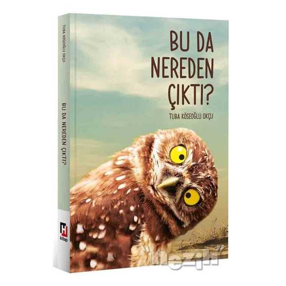 Bu Da Nereden Çıktı?