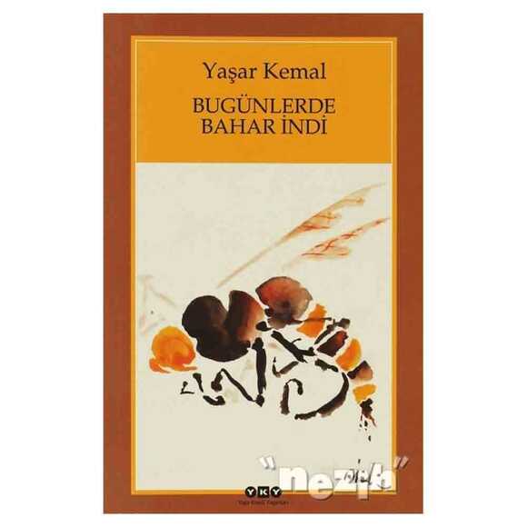 Bugünlerde Bahar İndi (Küçük Boy)