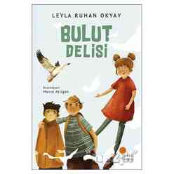 Günışığı Yayıncılık - Bulut Delisi