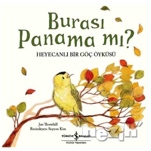 Burası Panama mı?