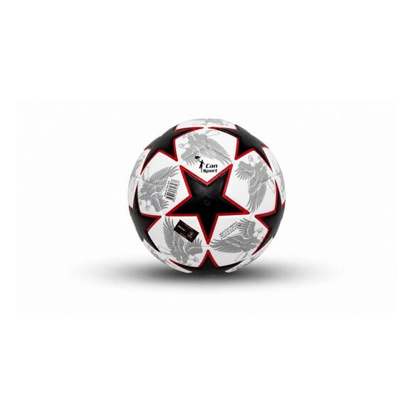 Can Sport Beşiktaş Eagle Futbol Topu 3018