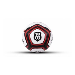 Can Sport - Can Sport Beşiktaş Lines Futbol Topu 3013