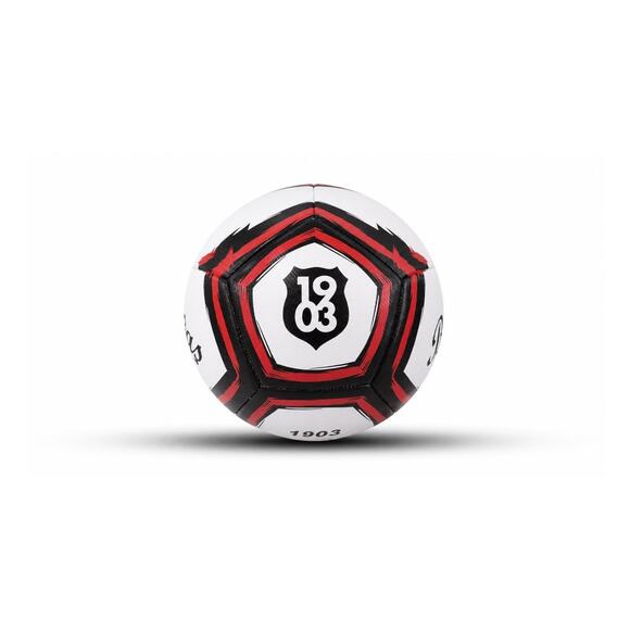Can Sport Beşiktaş Lines Futbol Topu 3013