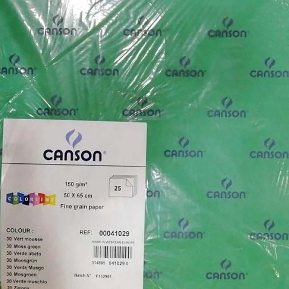Canson Colorline 50X65 Yeşil 150 Gr. 1 Adet